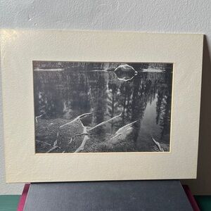 Vintage Black & White Serene Lakeshore Photograph Pint Matted Sealed